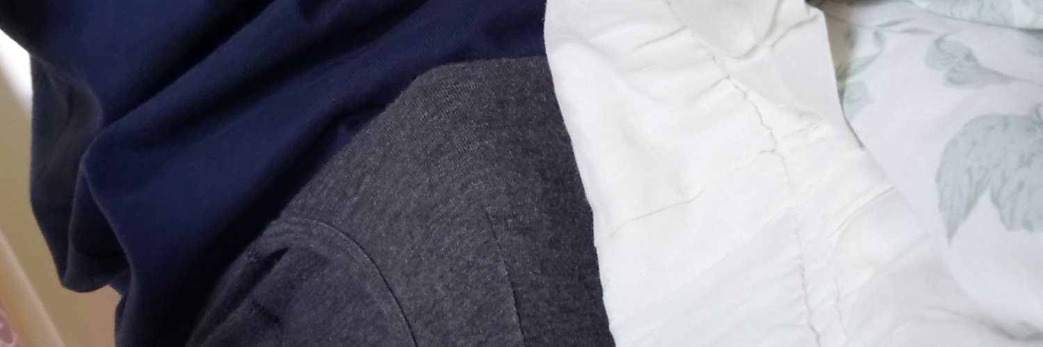 lrj_kaede's profile banner image