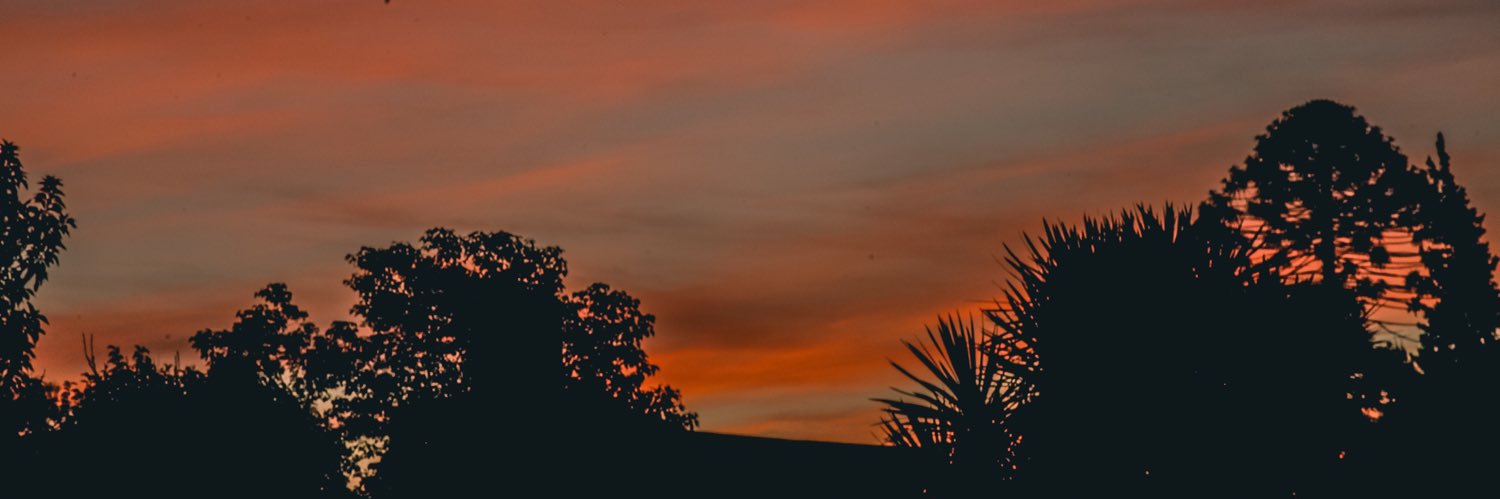 _pjulieta's profile banner image