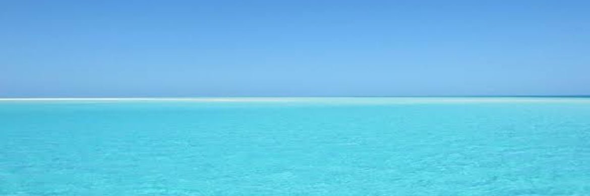 Beloved| 🇿🇦 banner