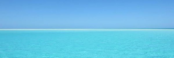 SoftParent Profile Banner