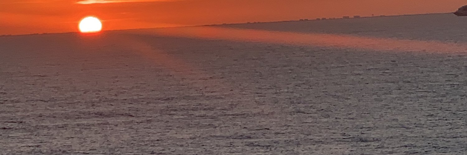 Vicki Rhonemus banner