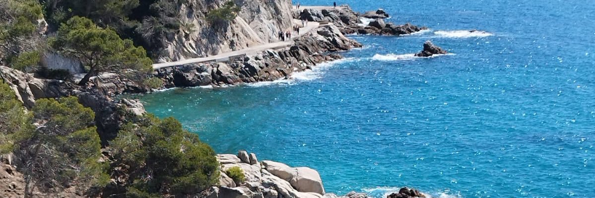 italyc10's profile banner image