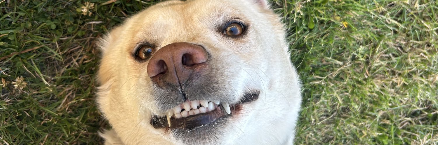 LozEvans2's profile banner image