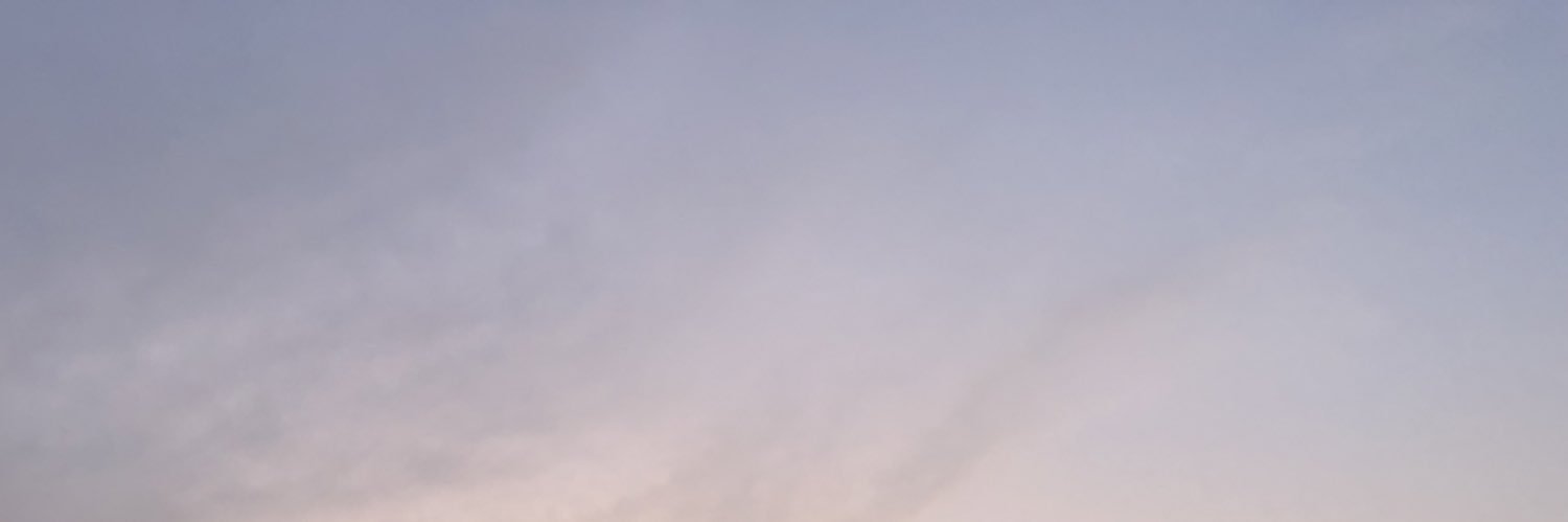 meganswygert's profile banner image
