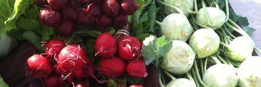 MetuchenMkt's profile banner image