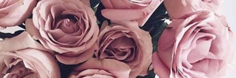 AnaBerliths's profile banner image