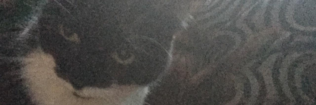 lgilly2's profile banner image
