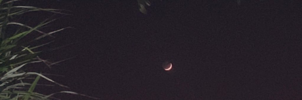 لیموچه banner