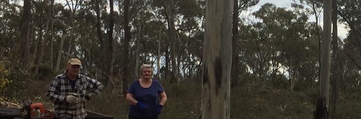 Lobbyr 😇😈🤡 Ron banner