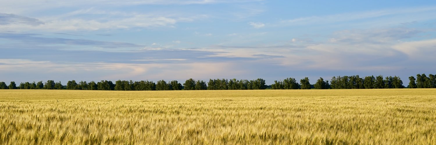 anna40847033's profile banner image
