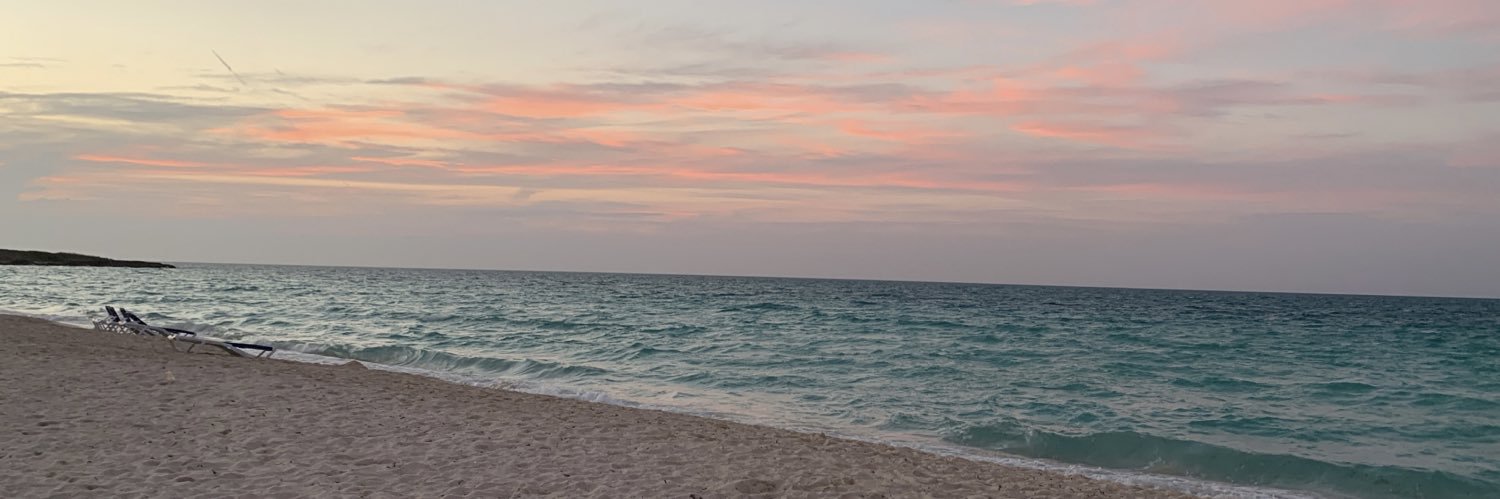 delfimarinaro1's profile banner image