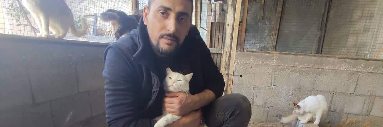 ♥️🇵🇸🇵🇸❤️A lover ♥️of homeless cats😻❤️🌱🌱👍🤗's banner