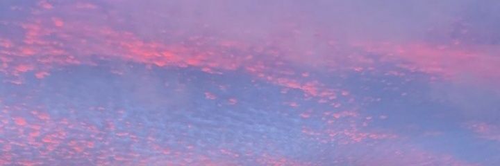 soysude_05's profile banner image