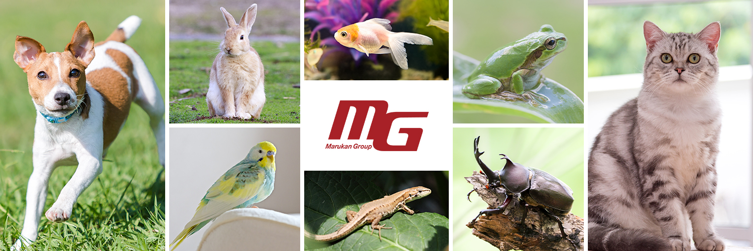 Mg_Information's profile banner image