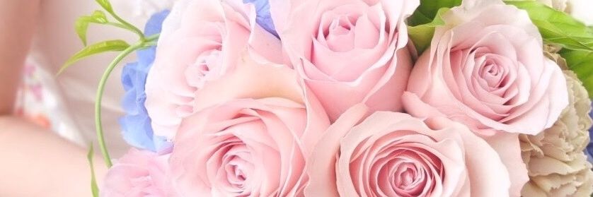 01mayu31's profile banner image
