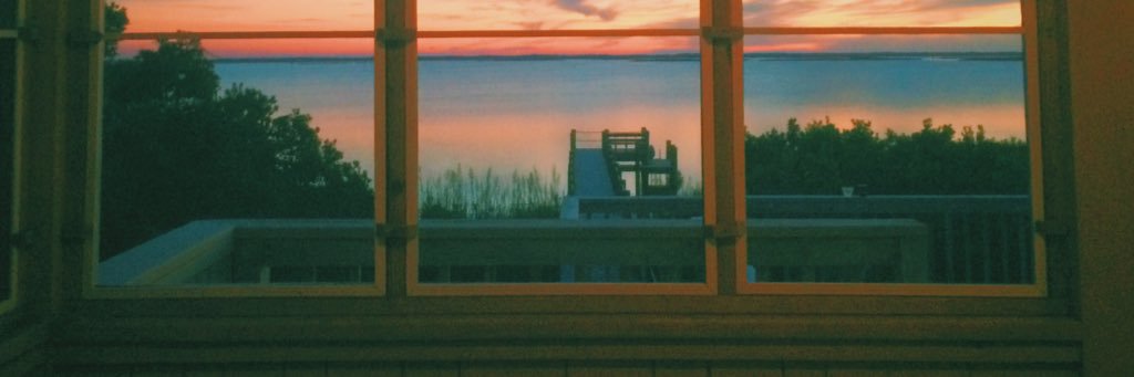 hirschannie's profile banner image