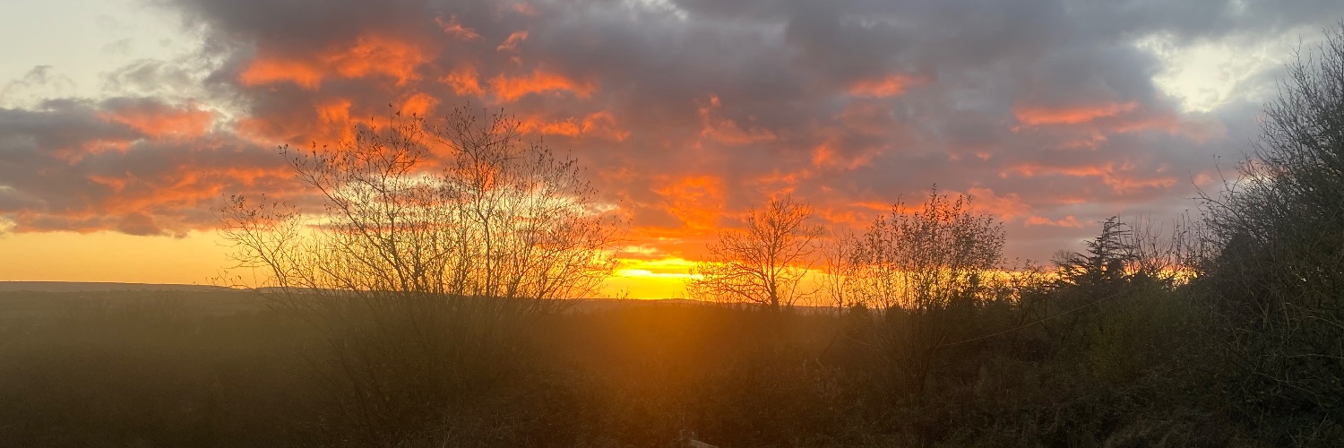 Johann Doorley banner