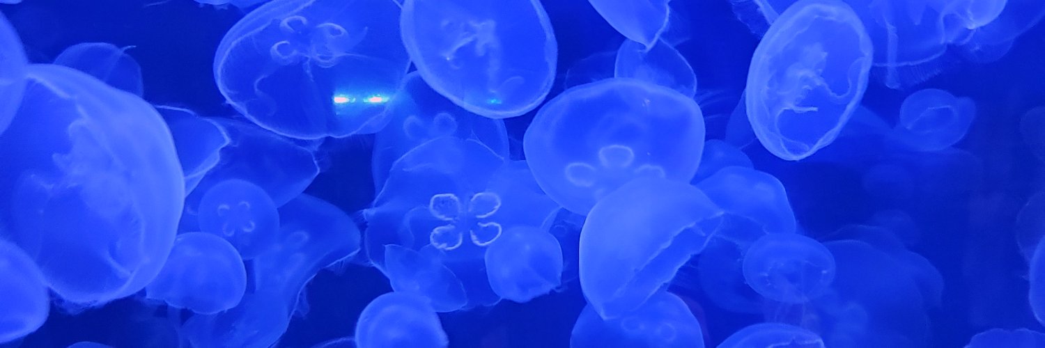 AmyBerti's profile banner image