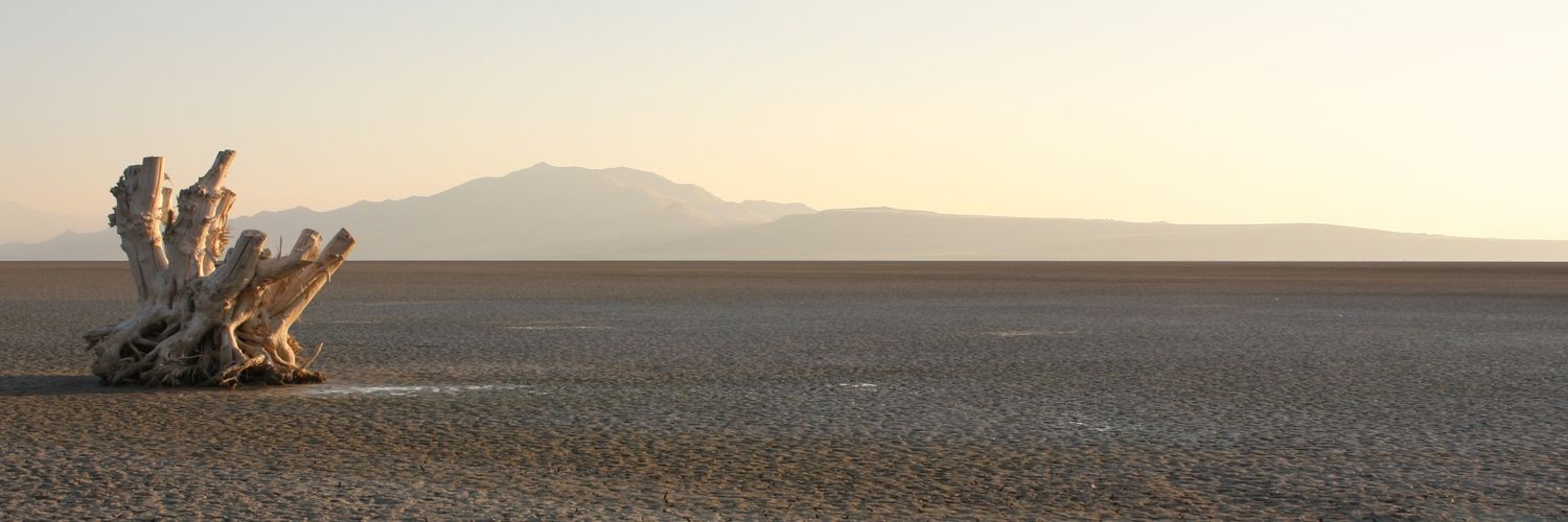 lot13Photo's profile banner image