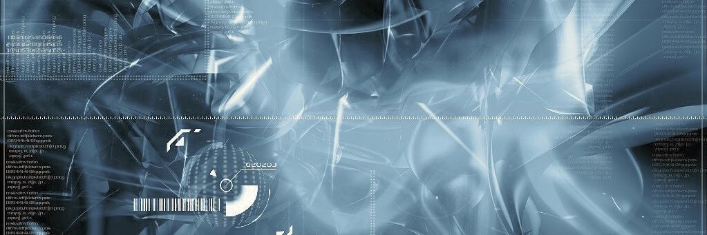 313 248 317-51 banner