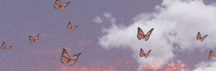 illegalrealms's profile banner image