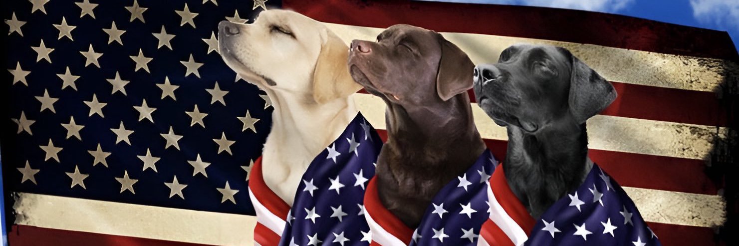 Rescue Dogs Rock, D.C. 🐾🐾🇺🇸 banner