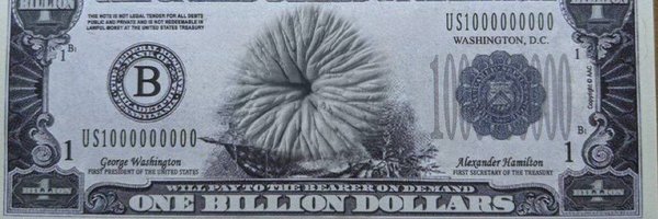 UnstoicT Profile Banner
