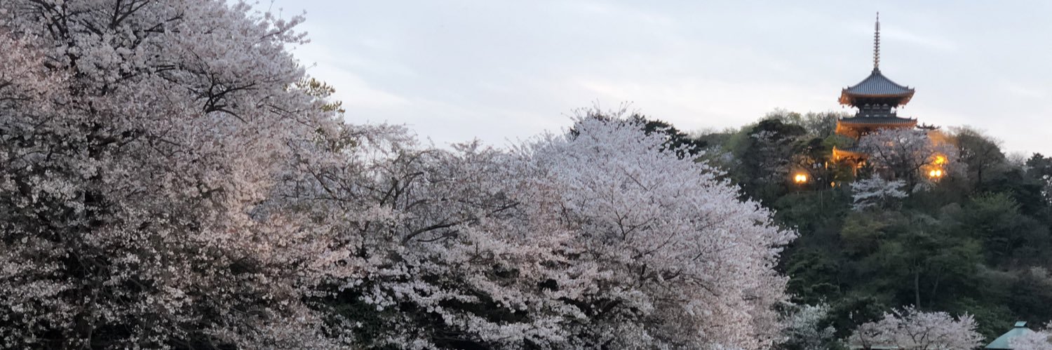 suguru4's profile banner image