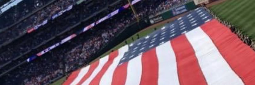 Nicole Guckin banner