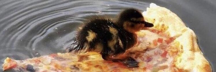 𝕳𝖔𝖑𝖑𝖞 banner