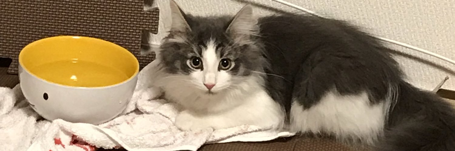 ao（旧　眼鏡のあやさん） banner