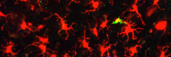 MempelThorsten Profile Banner