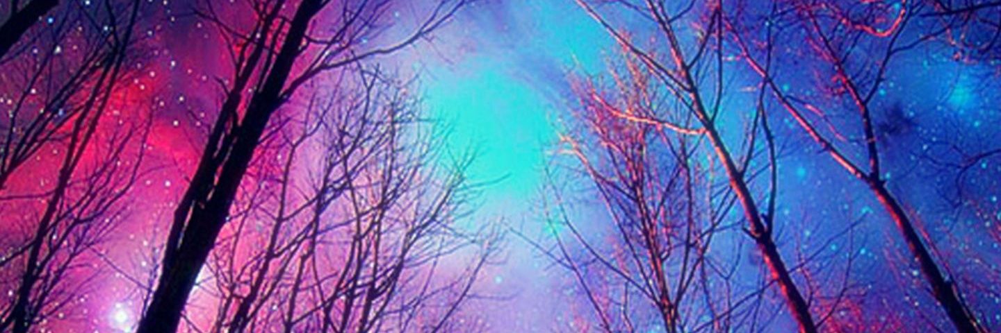 erikafurque2's profile banner image
