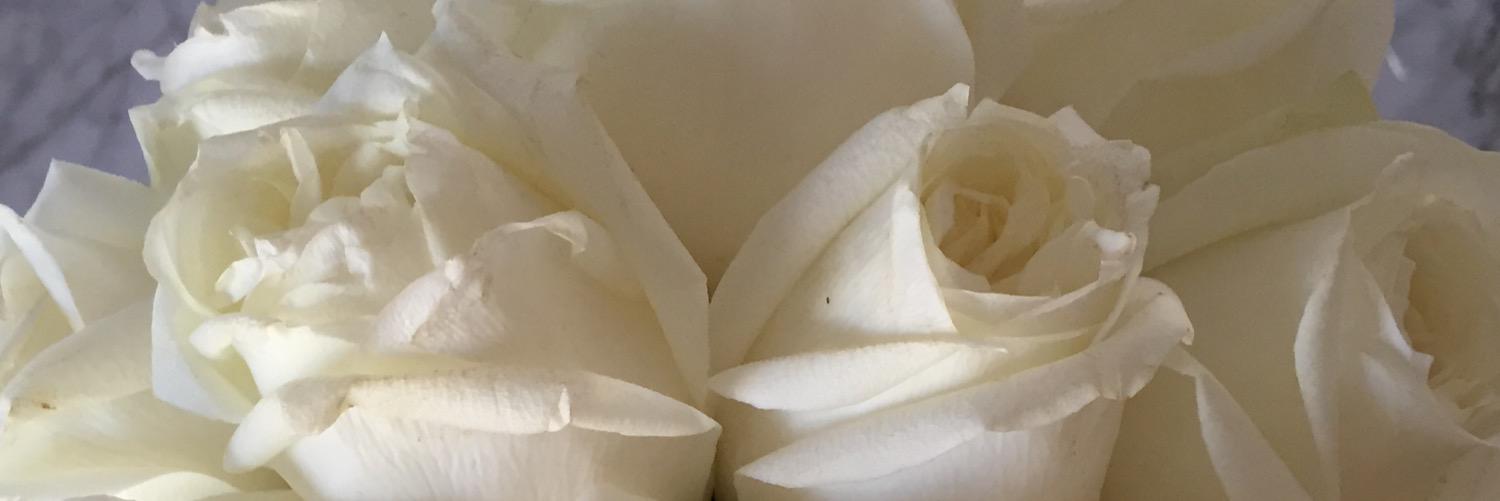ImYerani's profile banner image