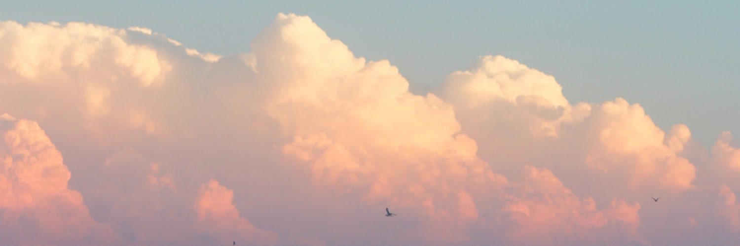 bridget_bateman's profile banner image