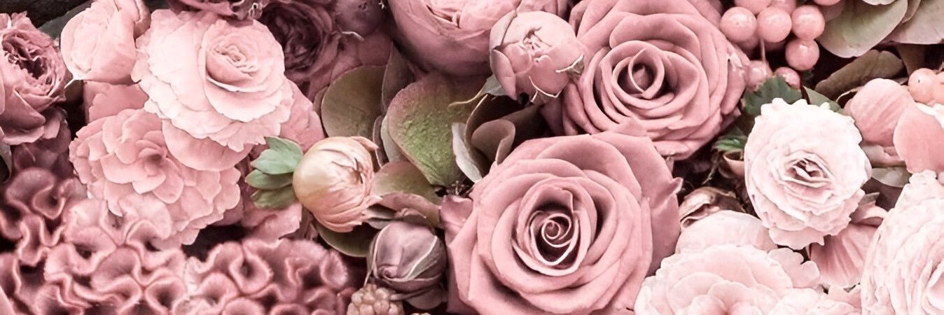 ayumerlina_'s profile banner image