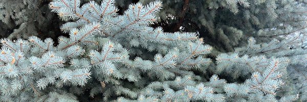 carter5200 Profile Banner