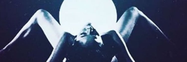 belle_ballard's profile banner image