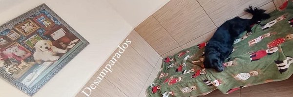 Plu2Desampara2 Profile Banner
