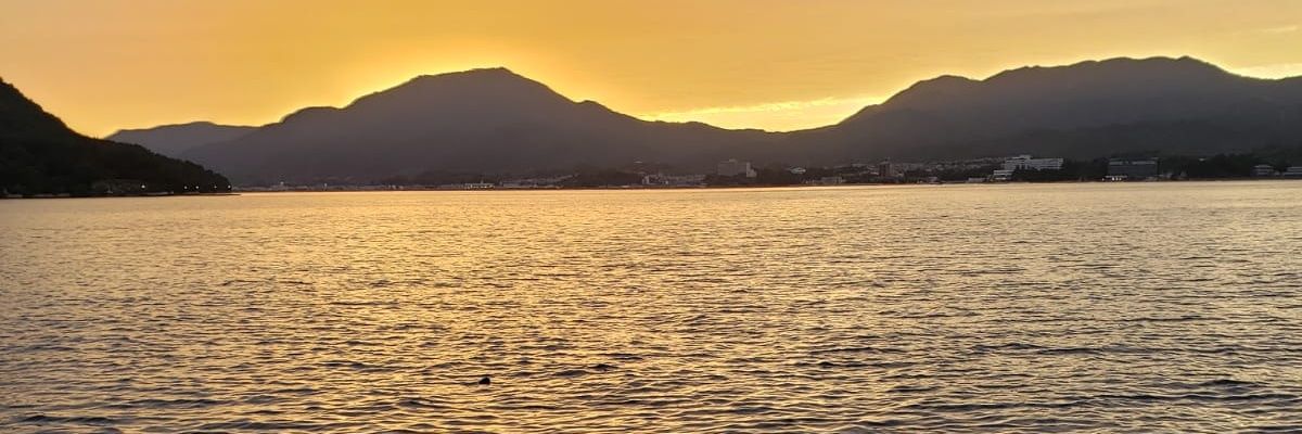 ns_sel11's profile banner image