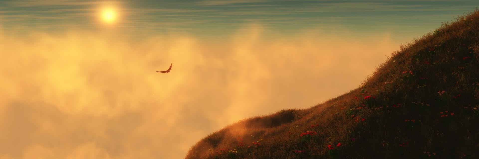 jesal_23's profile banner image