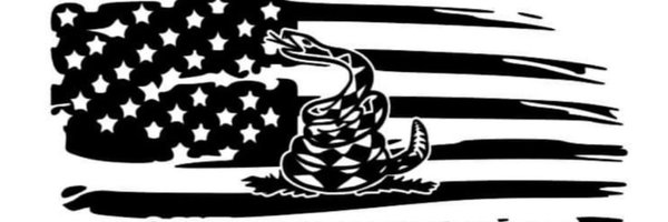 Vogzki Profile Banner