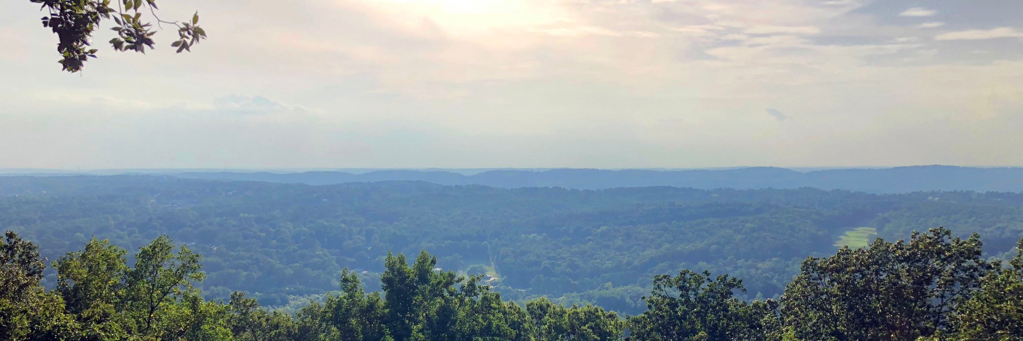 Matthew Hardeman banner