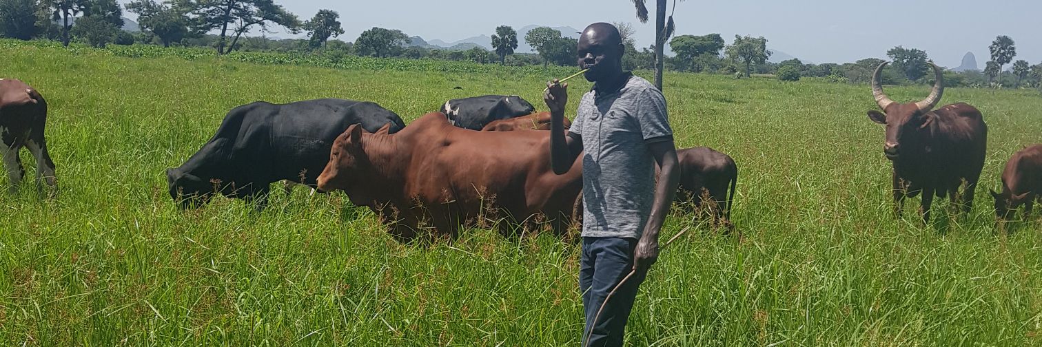 Nono🇺🇬 banner