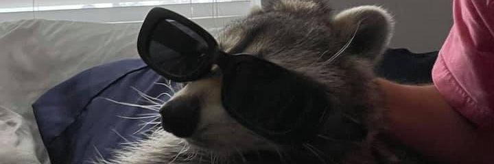 ArgentumPM's profile banner image