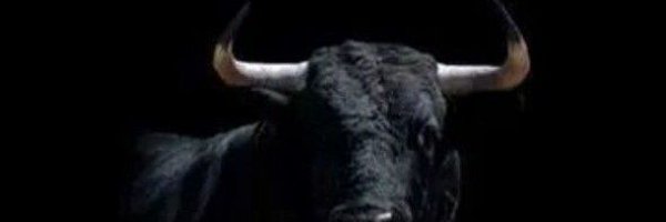 MarekA83476095 Profile Banner