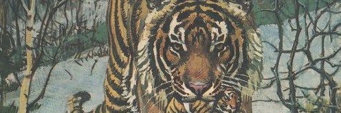 sasha banner