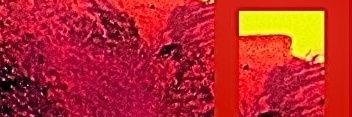 x h e f 🫶 OUT NOW !'s banner
