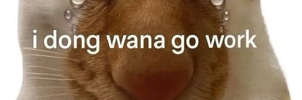 dumpandumb's profile banner image