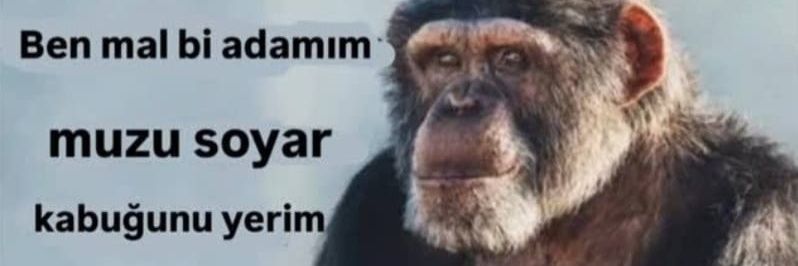 panikyoksalvoburda🇳🇬🇱🇸 banner